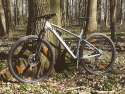 Trek X-Caliber 7 2020 XL