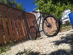 specialized rockhopper expert 2020