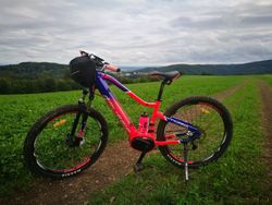 Crussis E-Fionna 7.5 2019