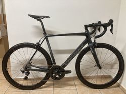 Stevens Izoard Pro 2019 s koly Equator 45