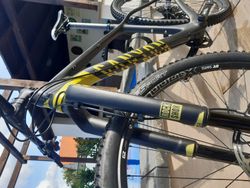 Canyon CF SL