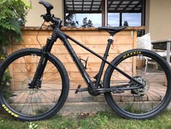 Canyon Pathlite