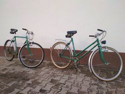 Pánská a dámská ESKA