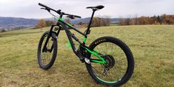 Kellys swag 50 2018 L