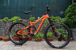 kolo NINER RIP 9 RDO CARBON 29"