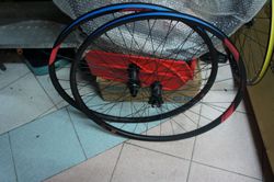 Nemen EVOLUTION SL XA25