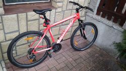 Dámské horské kolo Specialized Hardroc 26