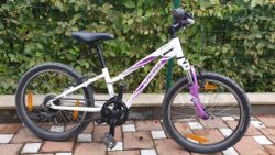 Specialized Hotrock 20