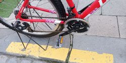 Dema Pegas Lady 1.0 - vel. 18''