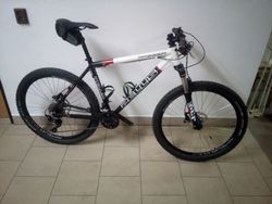 Pells Razzer 26