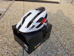 Helma Fox flux mips