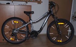 Dětské kolo Specialized Hotrock 24"