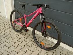 Superior Modo XC 867 14" gloss pink/white/orange 2018