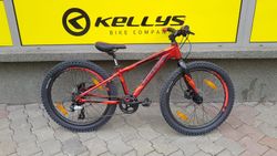 KELLYS MARC 70 2019