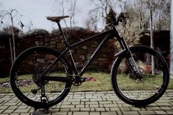 NS Bikes Eccentric EVO 29"