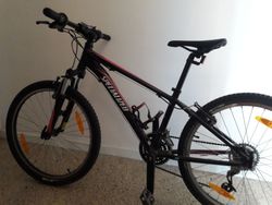 Specialized Hardrock