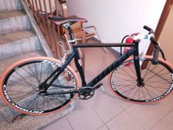 Fixie/Singlespeed kolo, bike, Festka