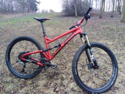 Dartmoor Bluebird 29“