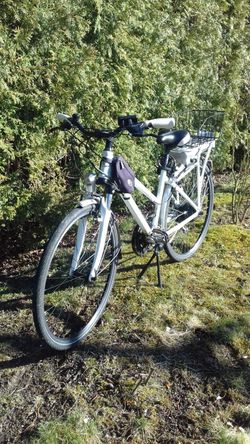 E-BIKE LEADER FOX SANDY LADY