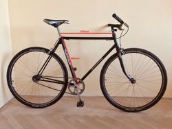 Favorit singlespeed - new custom build // mestske kolo