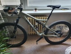 Specialized Epic Men's Expert Carbon Evo 29