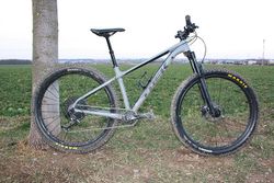 TREK Roscoe 8
