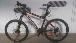 Bergamont vitox 7,4