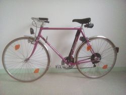 Favorit 92 sport