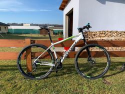 Cannondale F29 Alloy 5 - L