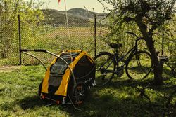 Vozík pro psa Burley Tail Wagon
