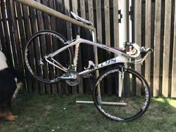 KELLYS celokarbonové kolo, komponenty Shimano Tiagra