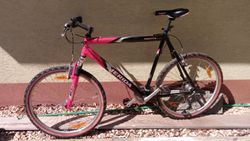 Merida Matts Striker 24"