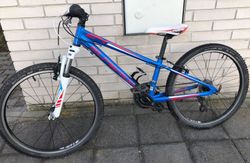 Superior XC 24" Racer blue-red