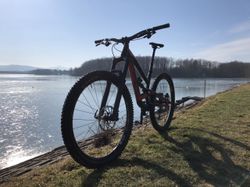Yt Capra