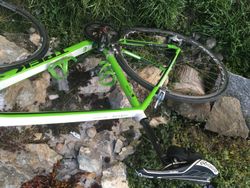 Trek Madone