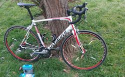 Specialized Allez