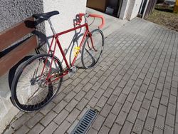 Prodam singlespeeda