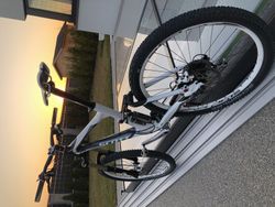 Scott Genius 20 "L"