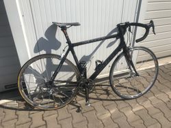Concorde X Blade, vel. 54 - karbon
