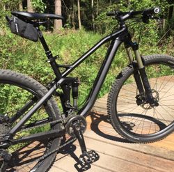 CANYON NERVE AL 9.9, M, 29"