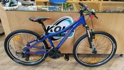 Maxbike Pindos 26"