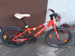 Superior Paint 20"