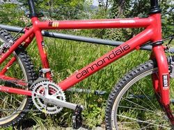 Cannondale M800 1992 „Beast Of The East“