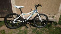 20" hliníkové kolo Superior Paint