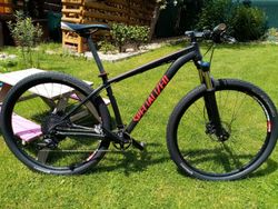 Specialized Rockhopper 29"