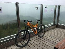 Specialized Stumpjumper Elite Carbon, XTR, Hope Evo, Swat
