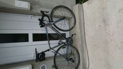 CANYON Endurace CF 7.0 SL 2016/2017