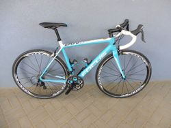 Focus Cayo Carbon