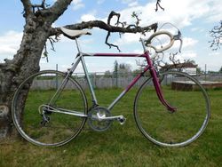 Favorit 1957
