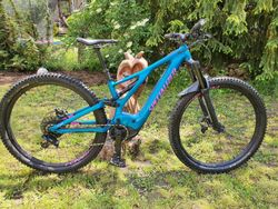 Specialized Turbo Levo WMN 29 2019 (TOP CUSTOM KONFIGURACE), najeto 388km, velikost S, záruka
